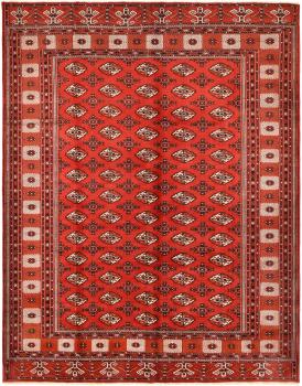 Turkaman 377x296