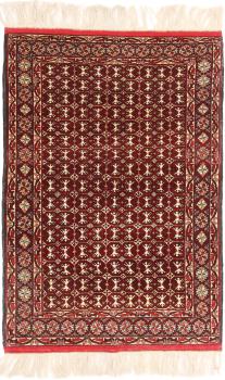 Afghan Mauri 165x115