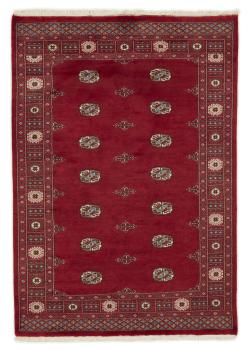 Pakistan Buchara 3ply 200x141