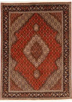 Tabriz Mahi 206x146