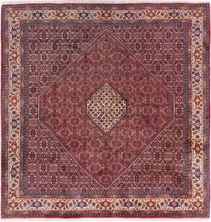Bidjar 259x246
