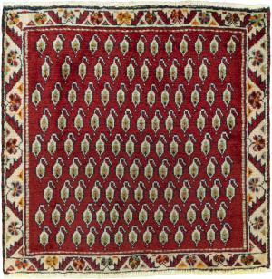 Shiraz 59x62