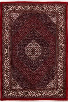 Bidjar 251x170
