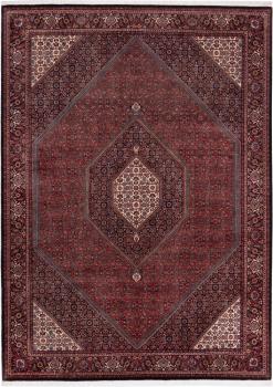 Bidjar 239x171