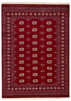Pakistan Buchara 3ply 239x175