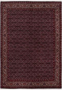 Bidjar 246x174