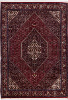 Bidjar 239x166