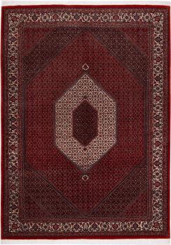 Bidjar 234x169