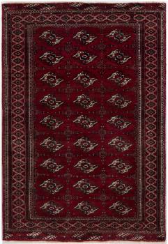Turkaman 197x136