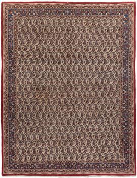 Jazd 401x311