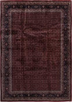 Indo Bidjar 335x239