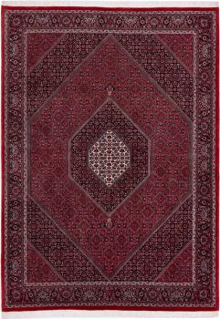Bidjar 242x174