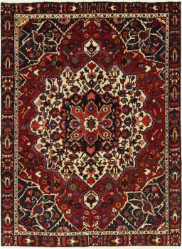 Bakhtiari 289x216