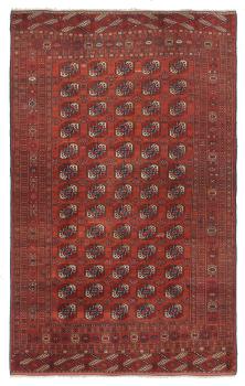 Buchara Antique 314x194