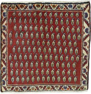 Shiraz 59x62