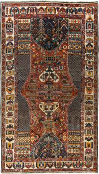 Shiraz 252x149