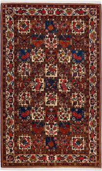 Bakhtiari 259x157
