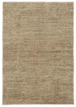 Arijana Ziegler Farahan 241x165