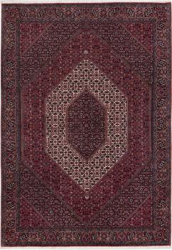 Bidjar 244x169