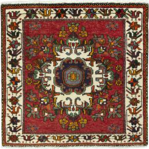 Shiraz 62x63