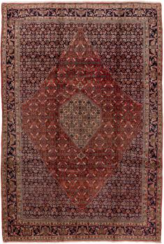 Bidjar 339x228