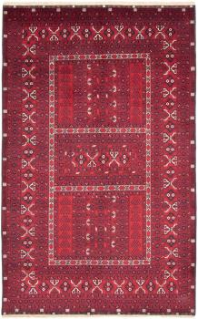Afghan Mauri 247x158