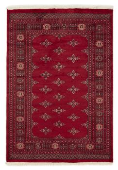 Pakistan Buchara 3ply 203x140