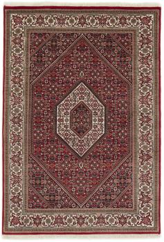 Indo Bidjar 201x136