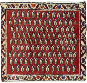 Shiraz 55x61