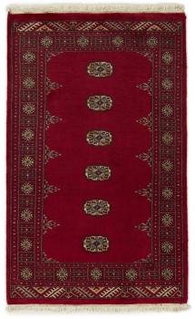 Pakistan Buchara 2ply 153x96