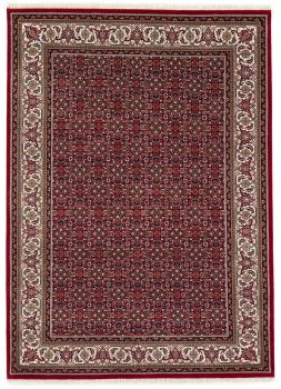 Indo Bidjar 241x171