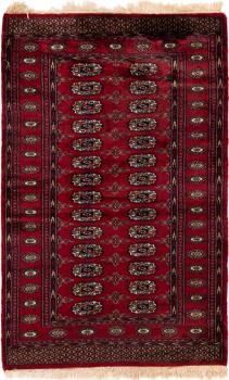 Pakistan Bukhara 3ply 150x97