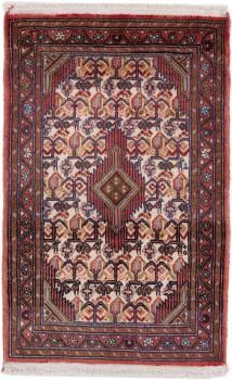 Hamadan 101x66