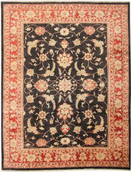 Ziegler Farahan 356x276