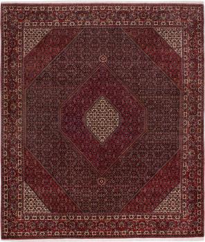 Bidjar 297x254