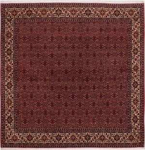 Bidjar 253x255