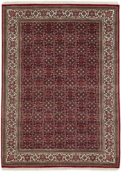 Indo Bidjar 199x144
