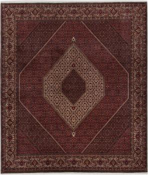Bidjar 295x258