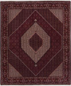 Bidjar 303x256