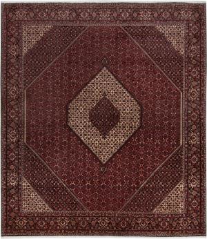 Bidjar 293x259
