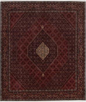 Bidjar 294x254