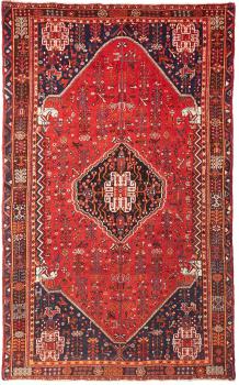 Shiraz 259x161
