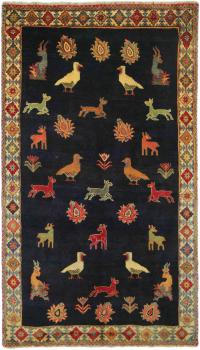 Shiraz 243x141