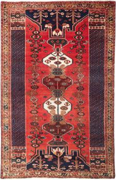 Shiraz 259x162