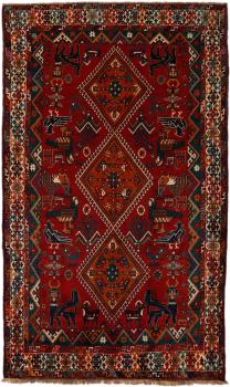 Shiraz 271x161
