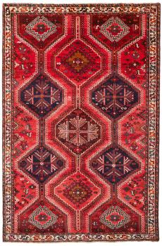 Shiraz 241x158