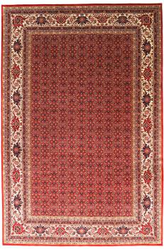 Bidjar 426x306