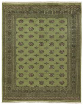 Pakistan Buchara 2ply 303x248