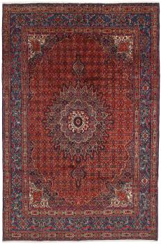 Moud Mahi 306x201