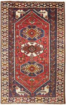 Shiraz 251x161